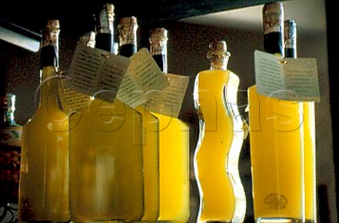 Bottles of Liquore al Limone on sale in   Amalfi Campania Italy
