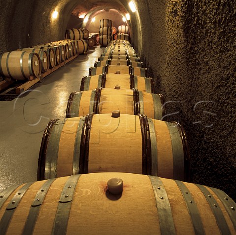 Barrel cellar of Archery Summit winery Dundee Oregon USA  Willamette Valley