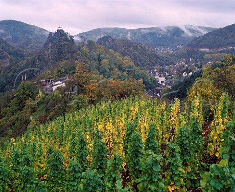 Vineyards in the Ahr Valley at Altenahr    Germany  Ahr