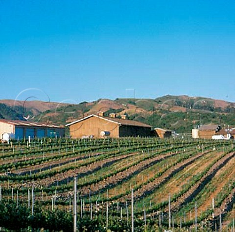 Babcock Winery and vineyard Lompoc   Santa Barbara Co California  Santa Rita Hills AVA  Santa Ynez Valley