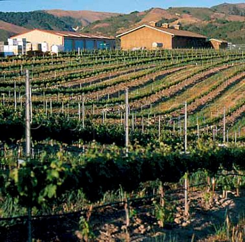 Babcock Winery and vineyard Lompoc   Santa Barbara Co California  Santa Rita Hills AVA  Santa Ynez Valley