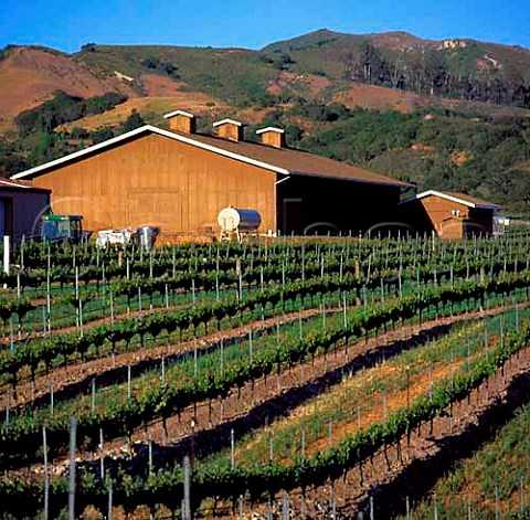 Babcock Winery and vineyard Lompoc   Santa Barbara Co California  Santa Ynez Valley