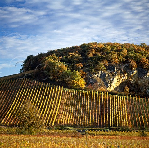 Florimont vineyard between the villages of   Niedermorschwihr and Ingersheim HautRhin France   Alsace Grand Cru