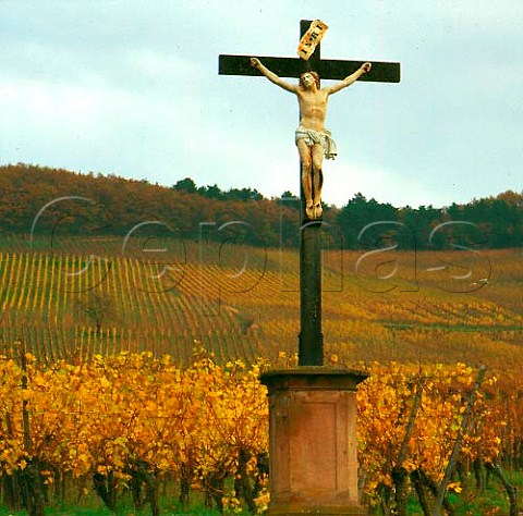 Crucifix in vineyard near Kientzheim   HautRhin France   Alsace