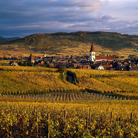 Ammerschwihr surrounded by autumnal vineyards with   the Montagne de Sigolsheim beyond HautRhin France  Alsace