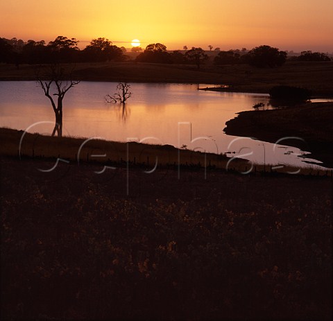 Sunrise over irrigation dam on Mountadam Estate   Eden Valley South Australia