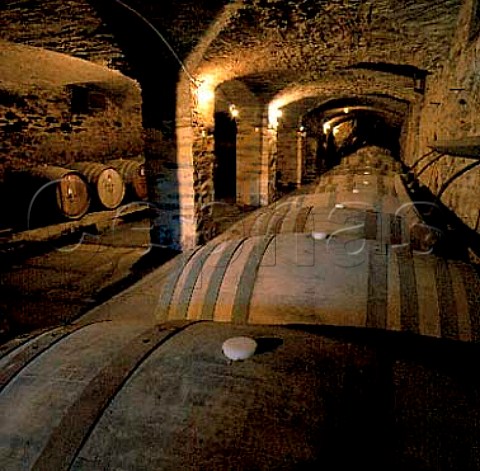 The oldest barrel cellar built in 1851   of Sevenhill Cellars Sevenhill South Australia   Clare Valley