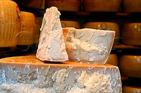 Parmigiano Reggiano Parmesan cheese  Emilia Romagna Italy