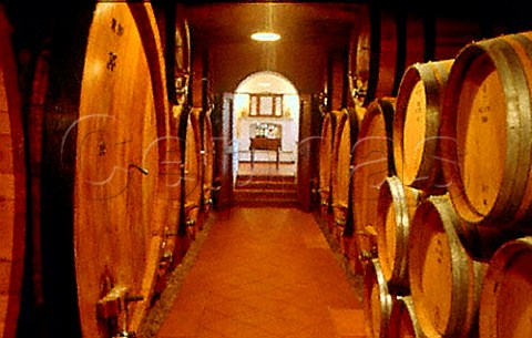 Barrel cellar of Tenute Cisa Asinari dei   Marchesi di Gresy Barbaresco Piemonte   Italy