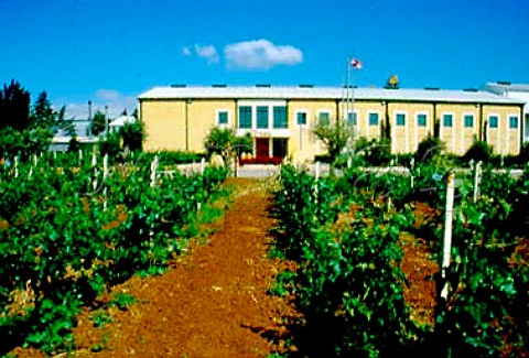 Winery and vineyard of Tanal Property   makers of Massaya wine      Bekaa Valley Lebanon