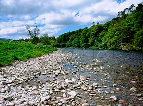 River Spey at Craigellachie   Aberlour Banffshire Scotland