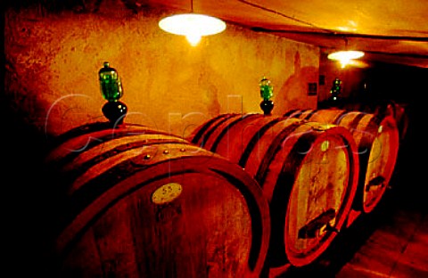 Barrel cellar of Montevertine   Radda in Chianti Tuscany Italy   Chianti Classico