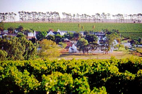 Vineyards of Diemersdal Estate   Durbanville South Africa