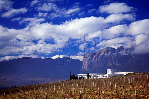 Vergelegen winery and vineyard in   winter Stellenbosch South Africa