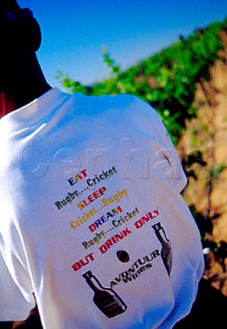 Motto on Avontuur Estate vineyard    workers shirt Stellenbosch   South Africa