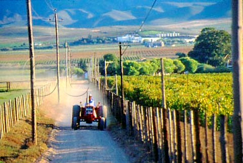 Tractor on vineyard road of Zandvliet   Estate Robertson South Africa