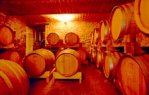 Barrel cellar of Forteto della Luja   Loazzolo Piemonte Italy