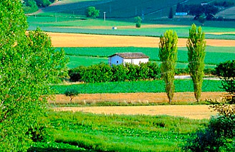 Agricultural landscape near Nrcia   Umbria Italy
