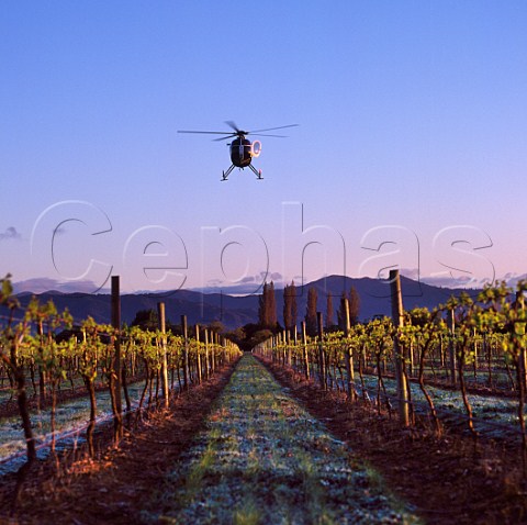 Using the downdraft from a helicopter to disturb the air and so protect vineyard from spring frost damage Marlborough New Zealand