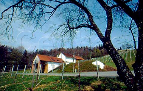 Winery of Alois Gross Ratsch Styria   Austria   Sdsteiermark
