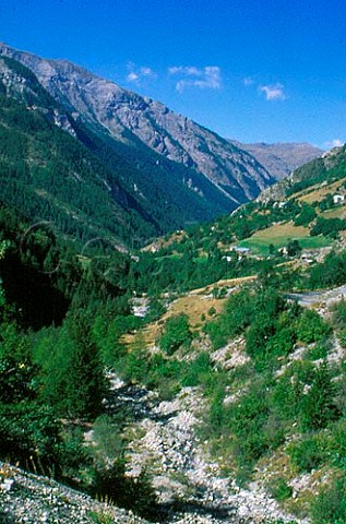 Mercantour National Park   AlpesMaritimes France