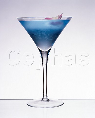 Cocktail Esquire Martini  Glass Martini