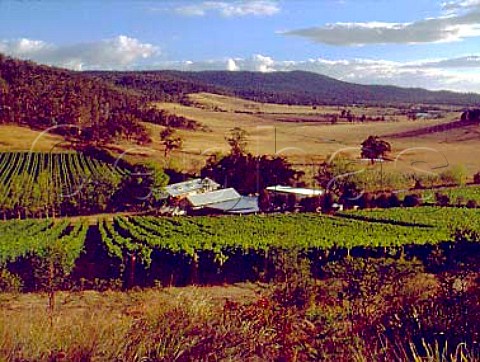 Freycinet Vineyards and winery near Bicheno   Tasmania Australia   East Coast