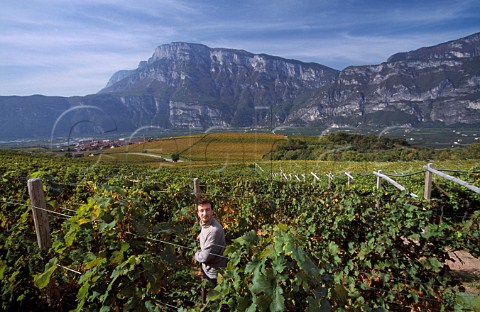 Alessandro Fanti in vineyard of Giuseppe Fanti  Lavis Trentino Italy