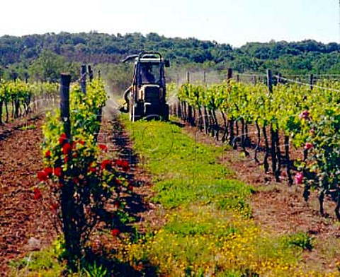 Spraying vineyard of Domaine de Freylon   Cron Gironde France    EntreDeuxMers  Bordeaux