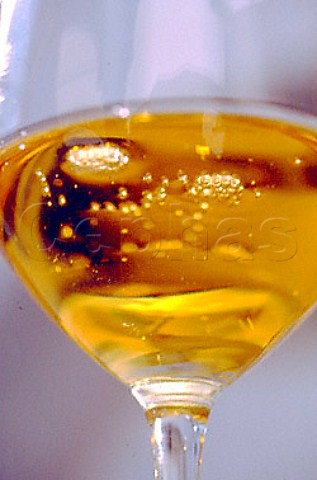 Glass of Austrian sweet wine    Burgenland
