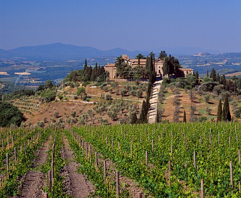 Frescobaldis Castel Giocondo viewed over vineyard Montalcino Tuscany Italy