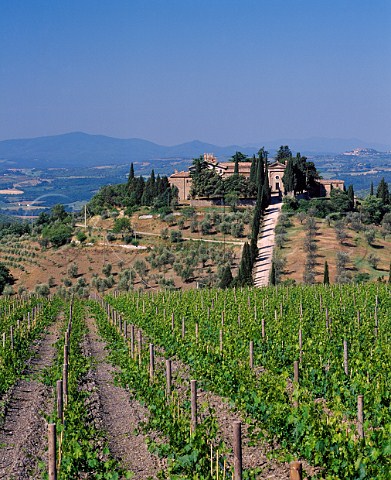 Frescobaldis Castel Giocondo viewed over vineyard Montalcino Tuscany Italy