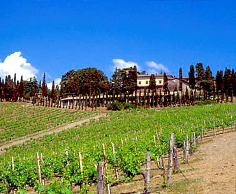 Castello dAlbola  of Zonin above its vineyard Radda in Chianti Tuscany Italy   Chianti Classico