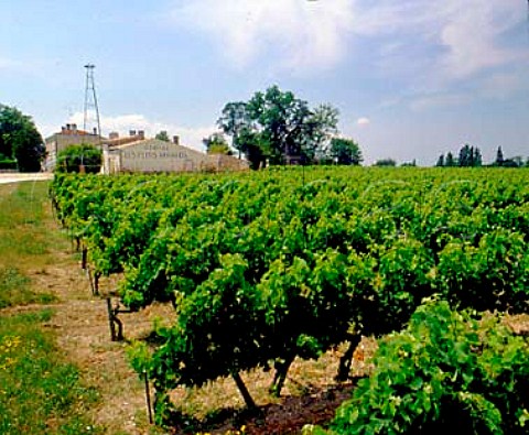 Chteau Les Petits Arnauds and its vineyards Cars   Gironde France   Premires Ctes de Blaye  Bordeaux