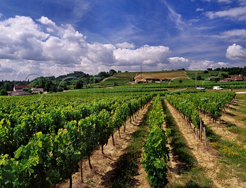 Chteau La Vieille Cure and its vineyard Saillans Gironde France Fronsac  Bordeaux