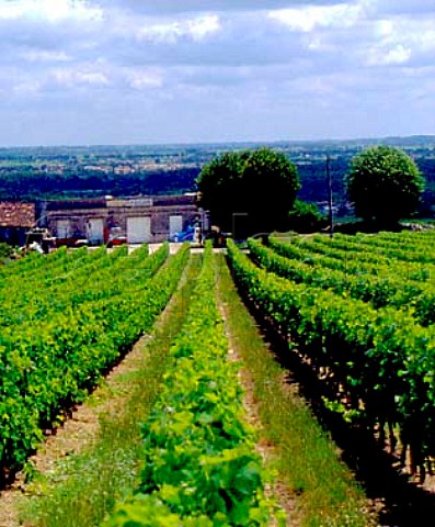 Chteau Valade with the town of Fronsac in the   distance Vincent Gironde France   Fronsac  Bordeaux