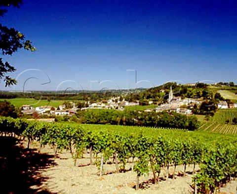 Vineyards of Chteau Canon with the church of   StMicheldeFronsac beyond Gironde France    CanonFronsac  Bordeaux