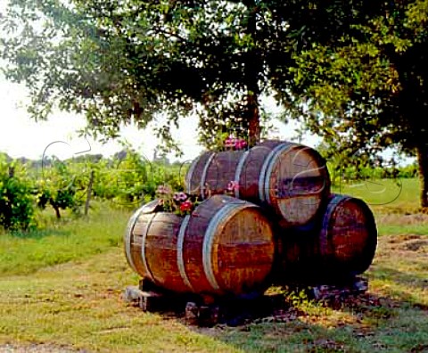 Decorative barrels at the entrance to   Chteau Masburel Fougueyrolles Dordogne France   HautMontravel