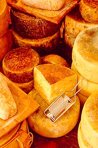 Pecorini cheeses made from ewes milk     Umbria Italy
