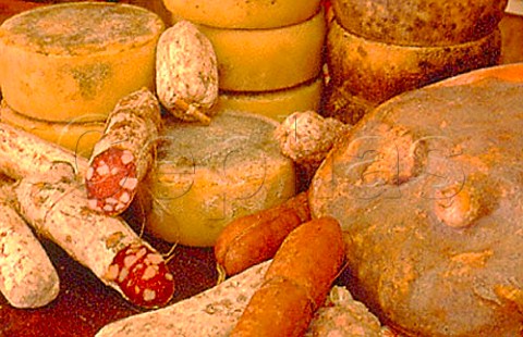 Salami sausage and Pecorini cheese   Umbria Italy