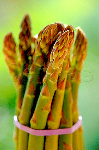 Bundle of Asparagus spears