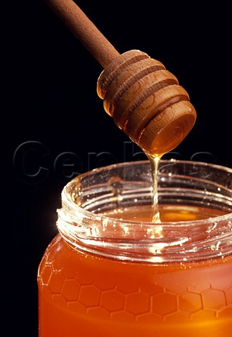 Jar of honey with dipper