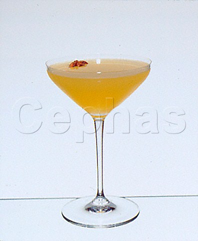 Cocktails Orange daiquiri  Glass Martini