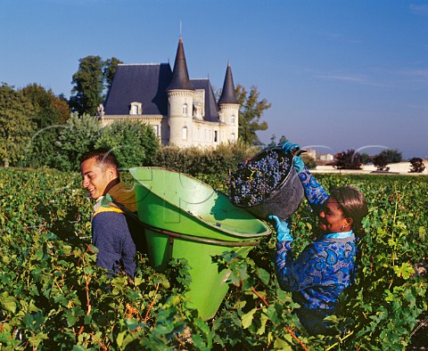 Filling hod with harvested Merlot grapes at Chteau PichonLonguevilleBaron   Pauillac Gironde France  Mdoc  Bordeaux