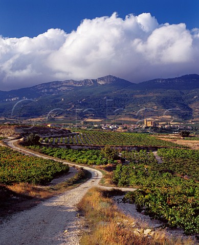 Track through the vineyards with village of Samaniego and the Sierra de Cantabria in the distance Alava Spain Rioja Alavesa