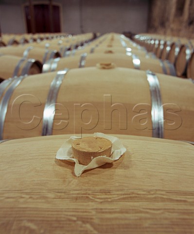 Bung in new French oak barrique in the chai of   Chteau Suduiraut Sauternes Gironde France   Sauternes  Bordeaux
