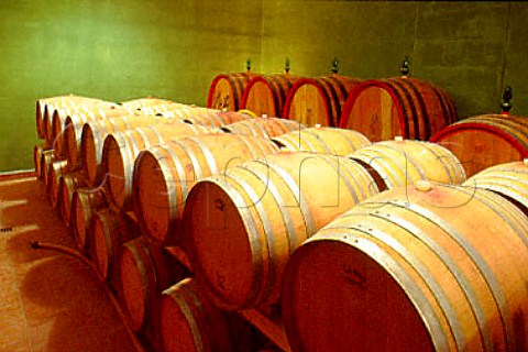 Barrel cellar of Antonelli   Montefalco Umbria Italy