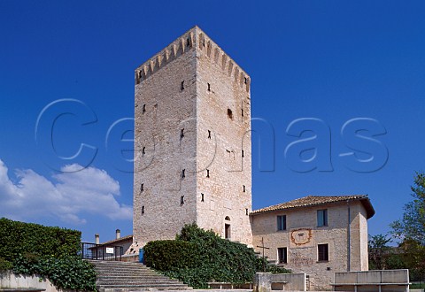 Rocca di Fabbri winery at Fabbri near Montefalco Umbria Italy Montefalco