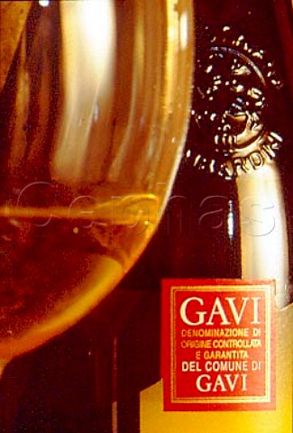 Bottle and glass of Montessora Gavi of  La Giustiniana Gavi Piemonte Italy