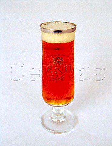 Glass of Eku beer  Kulmbach Germany